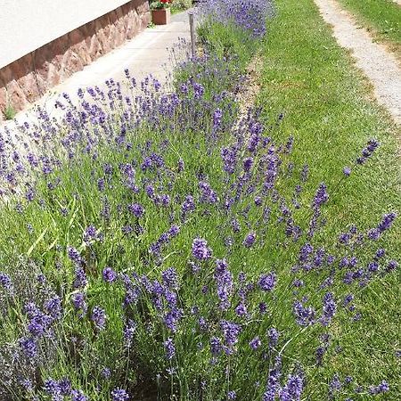 Kis Haz Apartman Zalacsány Екстериор снимка